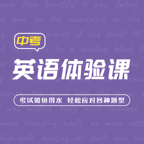 智能技巧体验包-中考英语