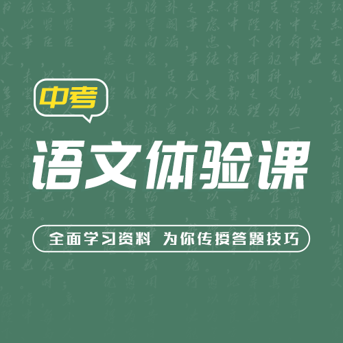 智能技巧体验包-中考语文